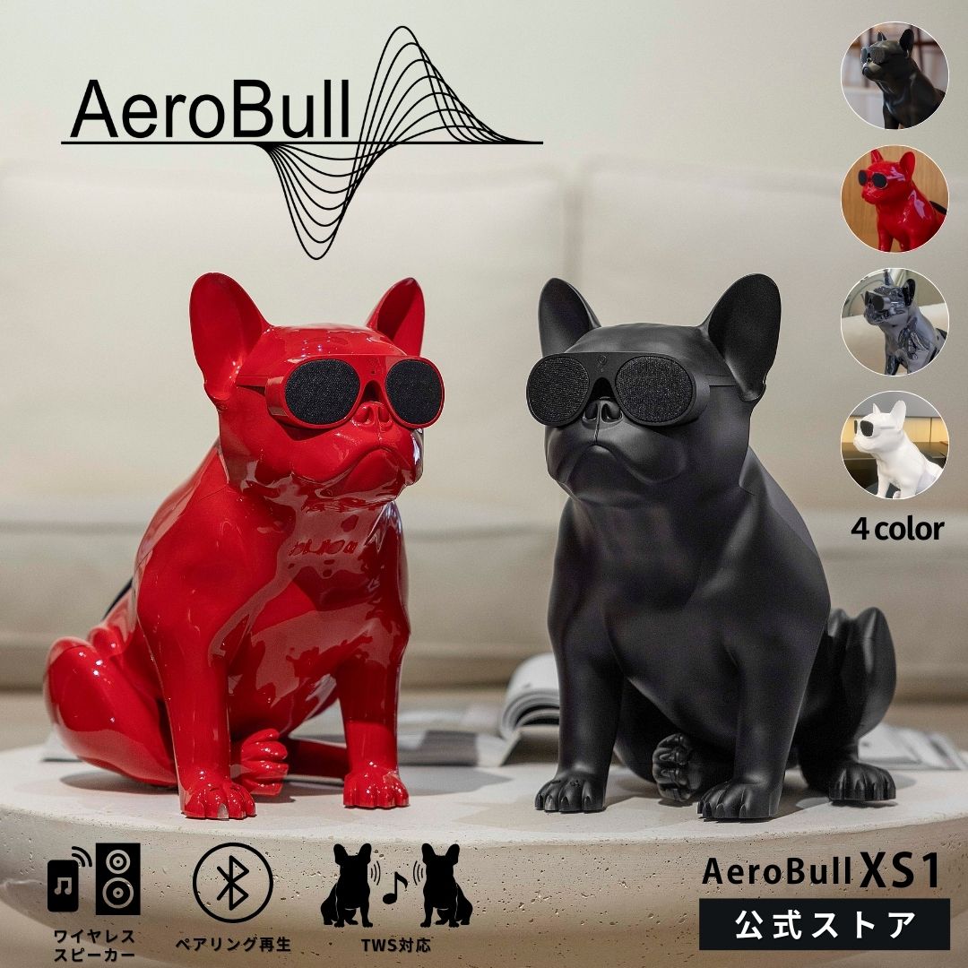 楽天市場】楽天P10倍【公式】Aerobull XS1 エアロブル エックス