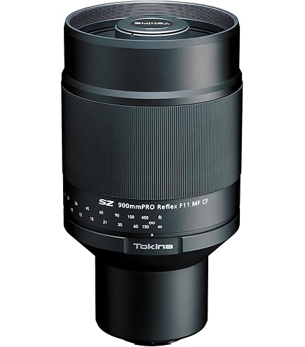 Amazon.co.jp: シグマ 170-500mm F5-6.3 APO DG ニコン用 : 家電＆カメラ