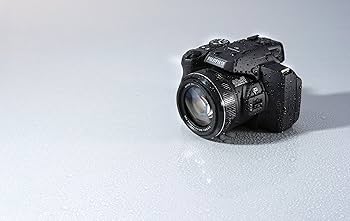 Amazon.com : Fujifilm FinePix S1 16 MP Digital Camera with 3.0
